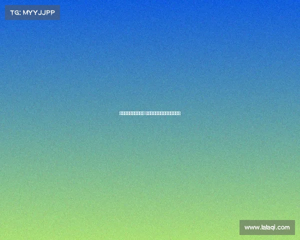 纽卡与莱比锡谈判推进 谢什科愿意加盟英超展开新篇章